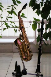 Koncert klarinetových a saxofonových tříd P. Hrice a M. Ullmanna