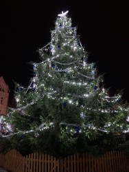 Klarinetové kvarteto na rozsvícení vánočního stromu v ČL